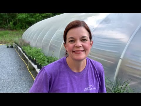 Weekly Nursery Tour // Gardening With Creekside