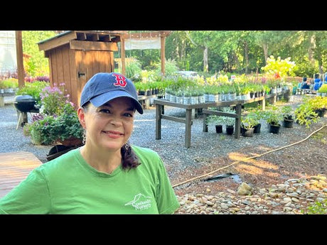 End of July Nursery Tour