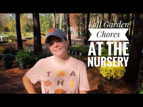 Fall Garden Chores at the Nursery