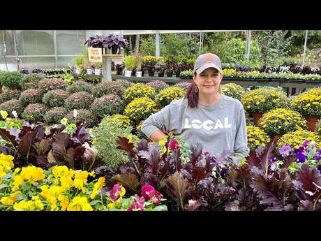 Welcoming Fall with Beautiful Fall Plants