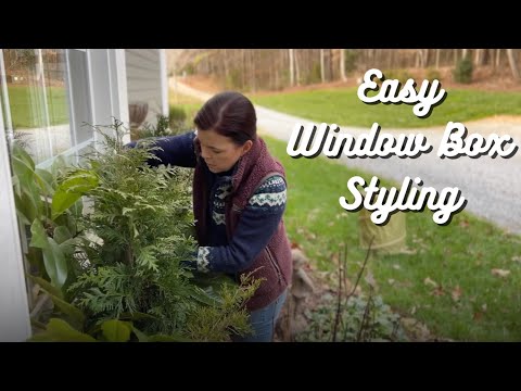 Easy Way to Style Window Boxes with Greenery