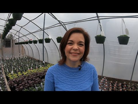 Come Take a Tour of the Greenhouses at the Nursery with Us!