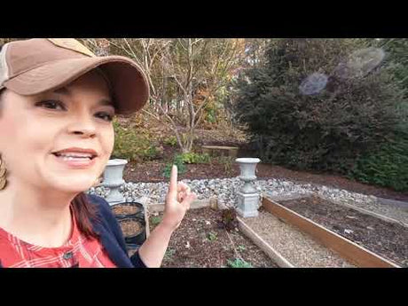 Prepping My Garden Boxes For Winter
