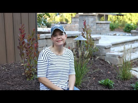 Designing & Planting for Four Seasons of Interest
