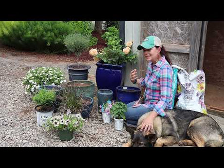Creating a Unique Flower Arrangement with Containers