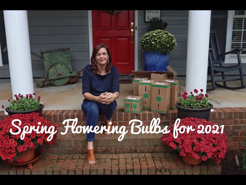 Our Bulb Order for 2021
