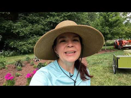 Planting Echinaceas for Loads of Color & Pollinators