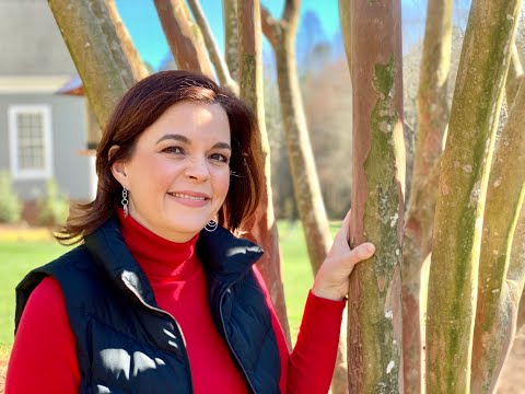 How to Properly Prune a Crape Myrtle