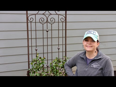 Adding a Gorgeous Trellis to the Shade Bed