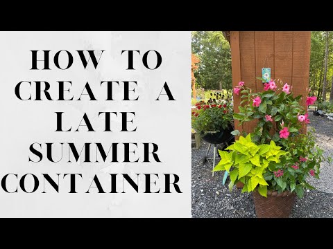 How To Create a Late Summer Container