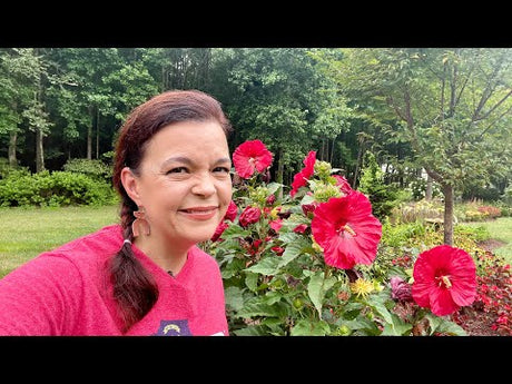 Late July Backyard Garden Tour