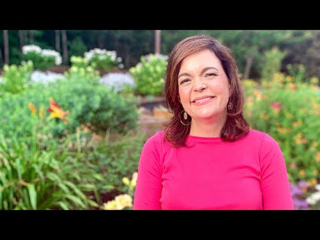 Top 5 Perennials for Southern Gardens