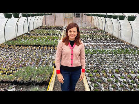 Perennial Nursery Tour