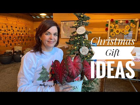 Christmas Gift Ideas 2020