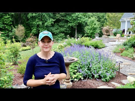 Repurposing a Unique Stone Birdbath