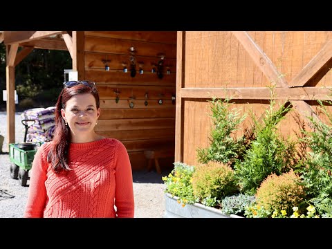 Fall Container Ideas - Fun With Evergreens