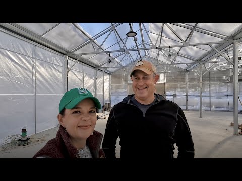 A Winter Afternoon at the Nursery