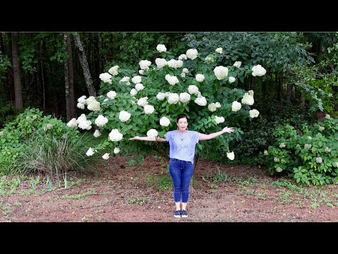 A Tour of the Gardens of the House