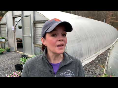 Creekside Nursery is Open!