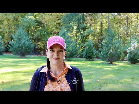 5 Simple Tips for a Fabulous Fall