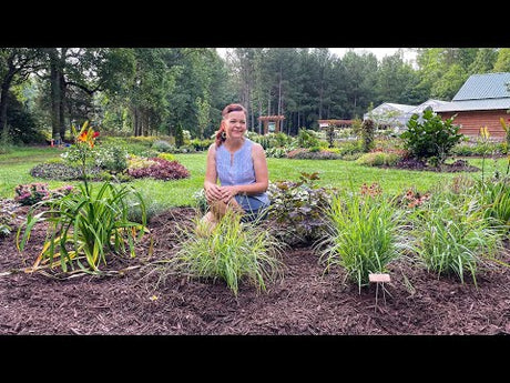 Garden Tour of My Favorite Perennials