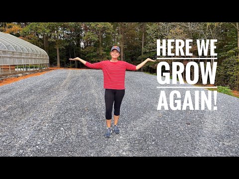 Here We Grow Again