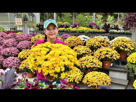 Nursery Tour Part 1 - Jenny's Edition