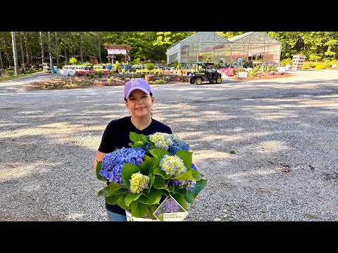Get Ready for Mother's Day & Food Truck