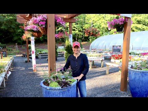 Planting A Viewer Designed AquaPot