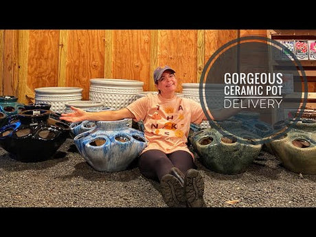 Gorgeous Ceramic Pot Delivery