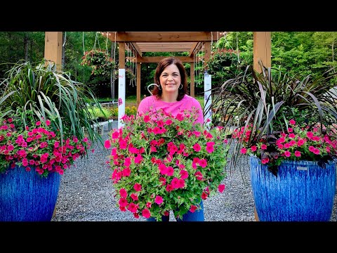 How To Keep Hanging Baskets Beautiful