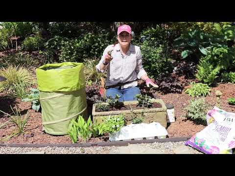 How to Move Perennials from a Mixed Container Into the Landscape ...