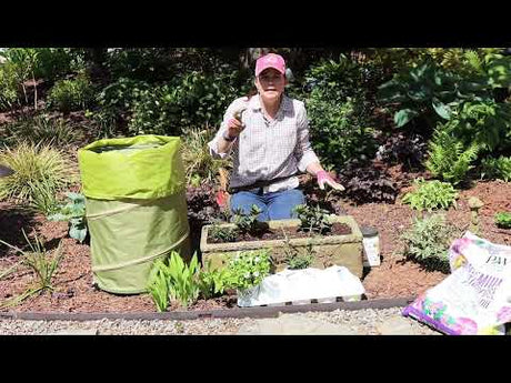 How to Move Perennials from a Mixed Container Into the Landscape
