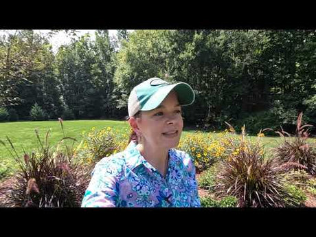 Adding Perennials That Will Bloom Late in the Season
