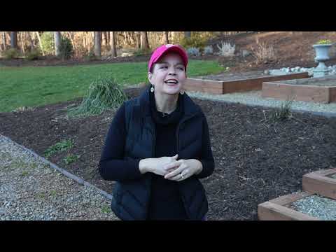 What You Need In Your Garden Toolbox