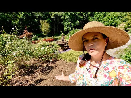 Pulling Petunias & Preparing For Fall