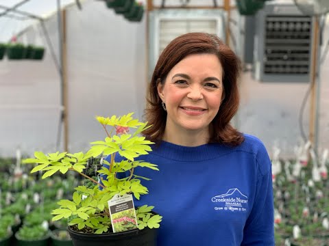 Nursery Tour!