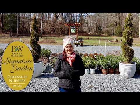 Sweet Plant Update & An Exciting New Garden Project
