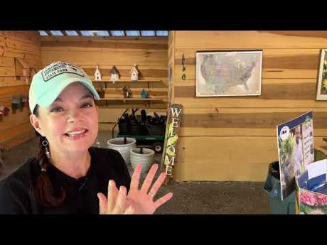 3 Fun New Deliveries to the Nursery
