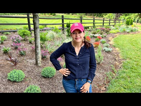 Designing Sun Perennials in the Berm – Creekside Nursery, Inc