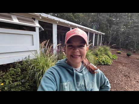 Planting a Fall Landscape at the Chicken Coop