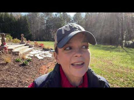 Garden Tour & Planting a Groundcover