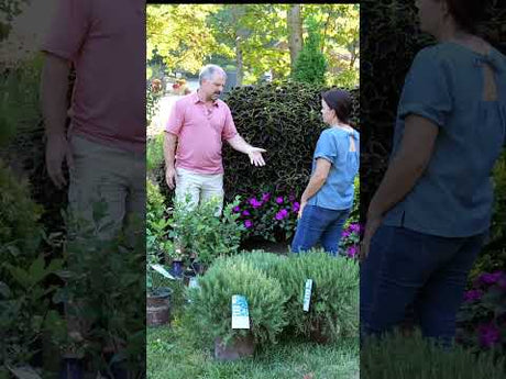 How often does Jim Putnam at HortTube fertilize?