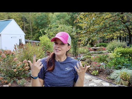 New Creekside Merchandise & Fall Planters