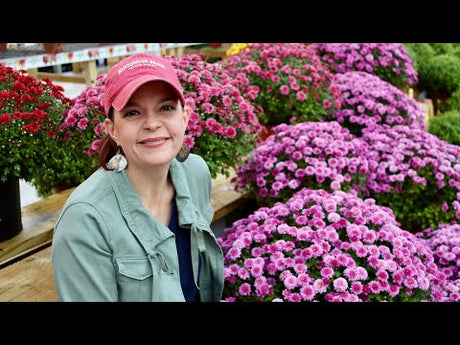 The COLORFUL Nursery in Early October