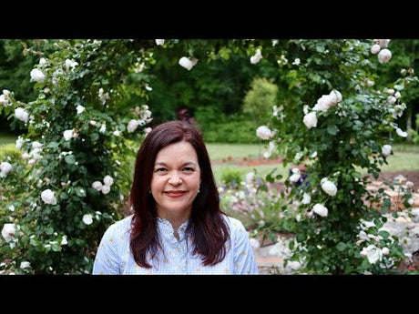 A Garden Tour for the Garden Lovers