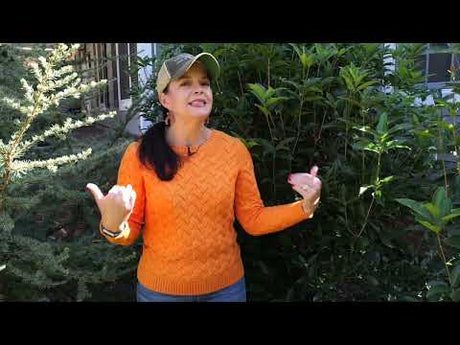 Adding Fall Interest to Your Garden
