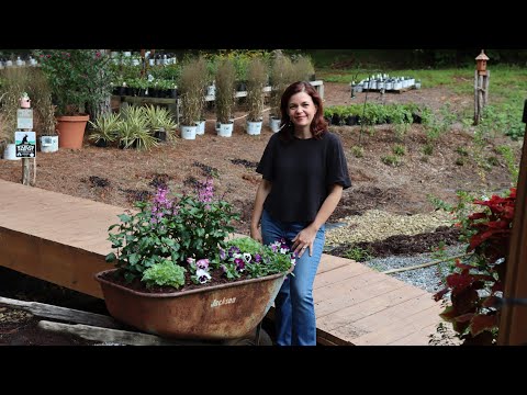 Unique Fall Planting in a Wheelbarrow