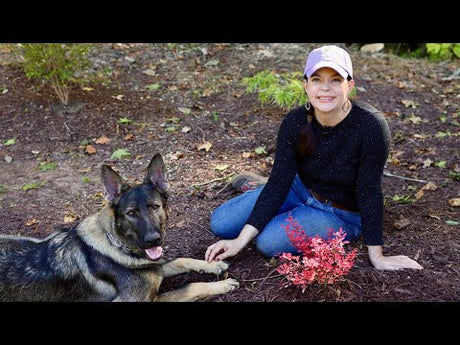 Fall & Winter Interest Ideas for Your Garden