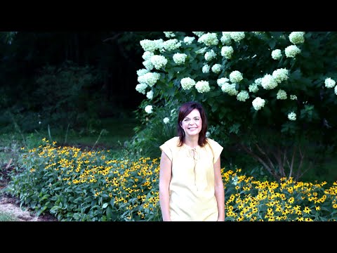 Top 5 Favorite Shrubs